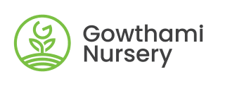 Gowthami Nursery